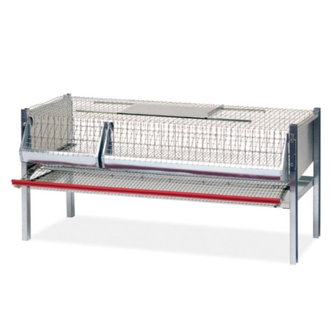 Gabbia Quaglie Ovaiole Contro Fratelli