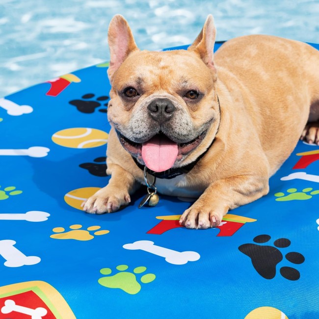 Materassino da Piscina per Cani...