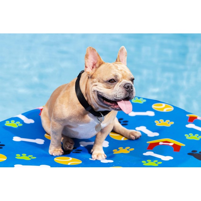 Materassino da Piscina per Cani...