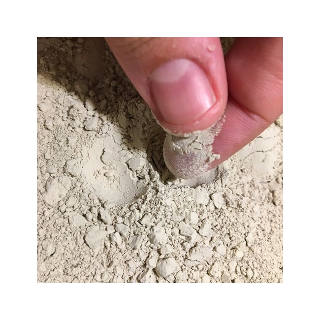 Zeolite in Polvere MIcronizzata 500gr...