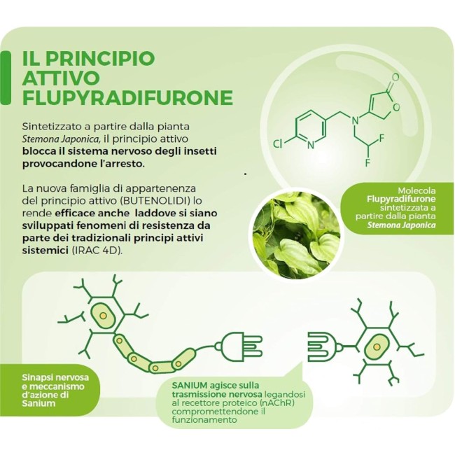 Insetticida Sistemico Sanium 5 ml
