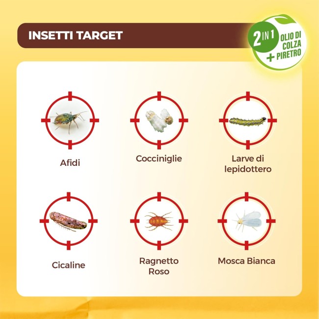 Solabiol Insetticida Abbattente...