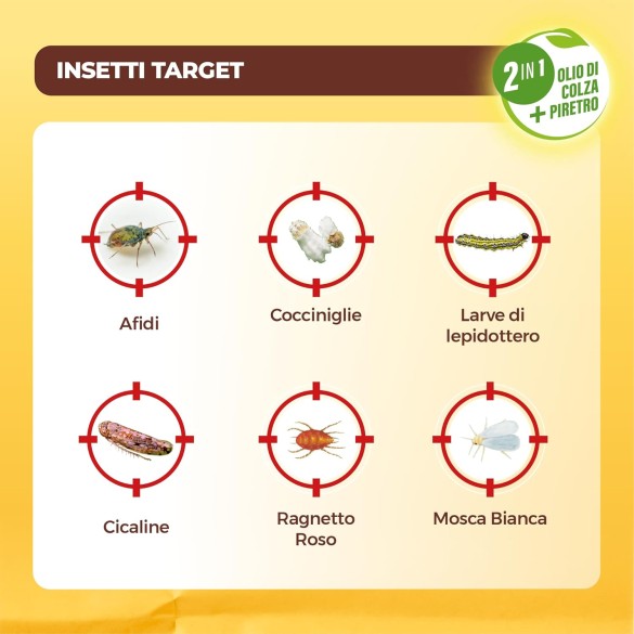 Solabiol Insetticida Abbattente PFnPO, Biologico 2in1 a Base di Piretro e Olio di Colza