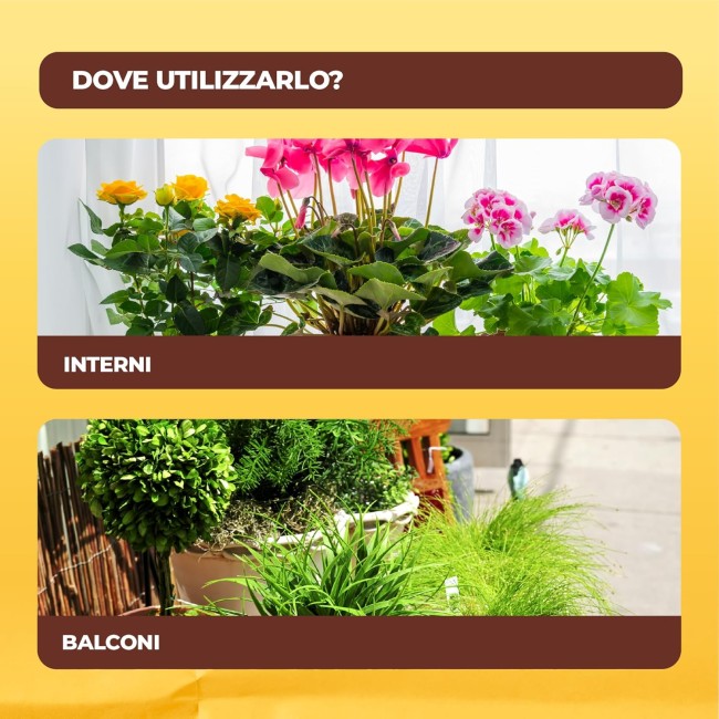 Solabiol Insetticida Abbattente...