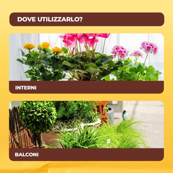 Solabiol Insetticida Abbattente PFnPO, Biologico 2in1 a Base di Piretro e Olio di Colza