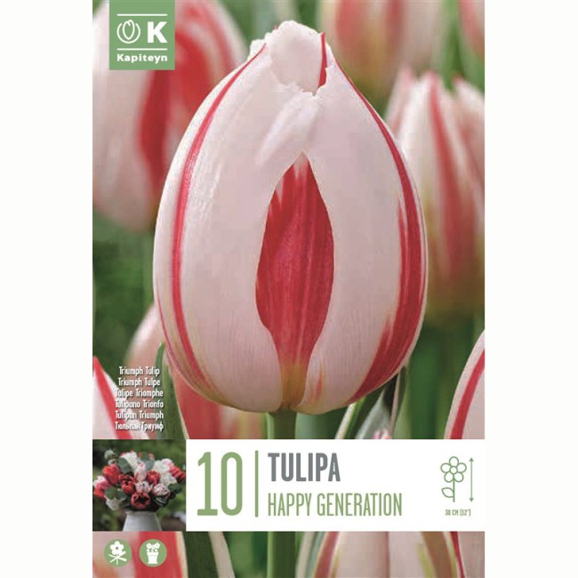 Bulbi di Tulipano Happy Generation...
