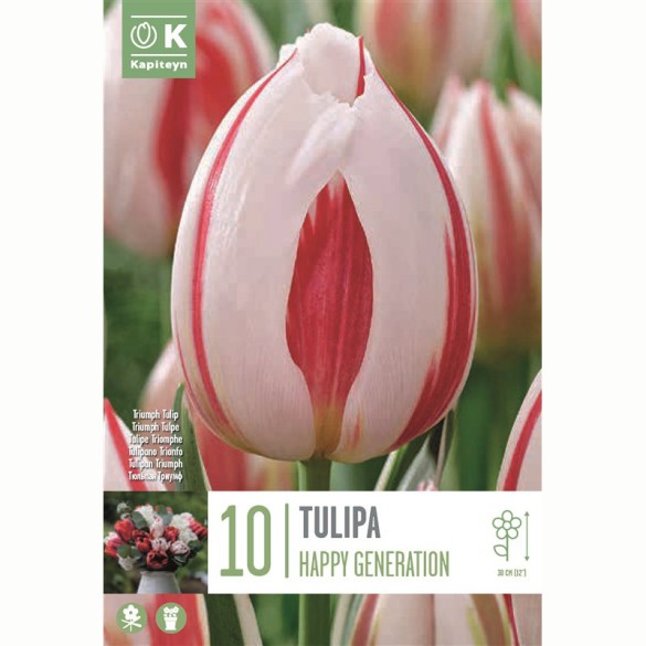 Bulbi di Tulipano Happy Generation Confezione da 10pz Kapiteyn