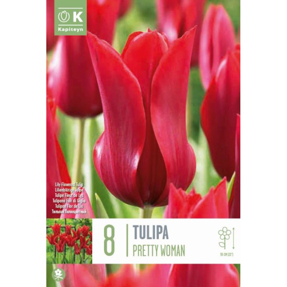 Bulbi di Tulipano Pretty Woman Confezione da 8pz Kapiteyn