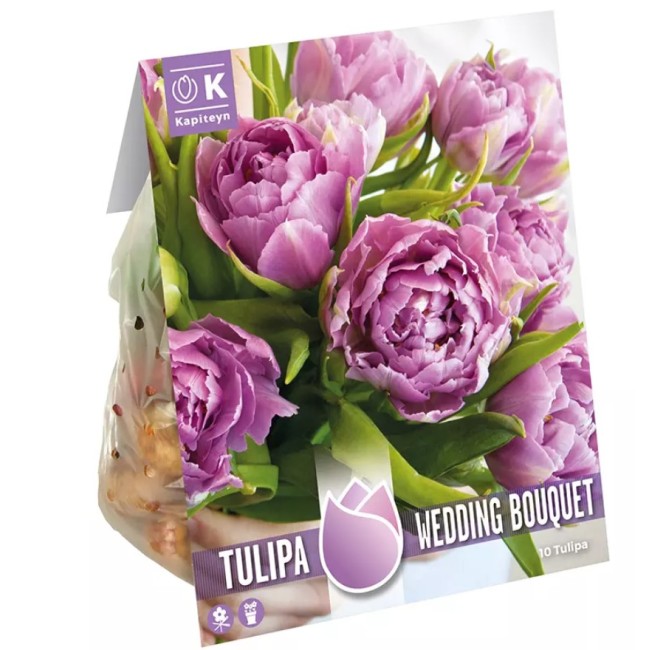 Bulbi Autunnali di Tulipano Wedding...