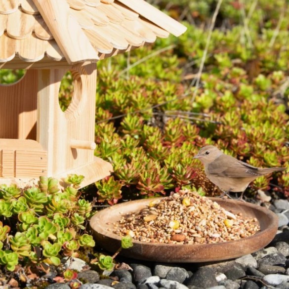 Mix Semi per Uccelli Selvatci Birds Garden