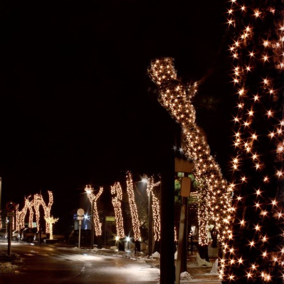 Catena Luminosa 120 Maxi Led Bianco Caldo Prolungabile LOTTI