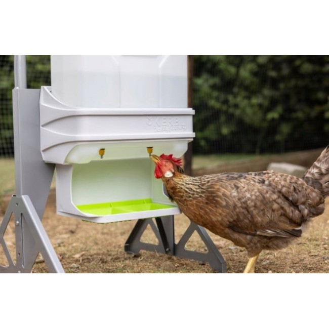 SmartCoop - Abbeveratoio per Pollame...
