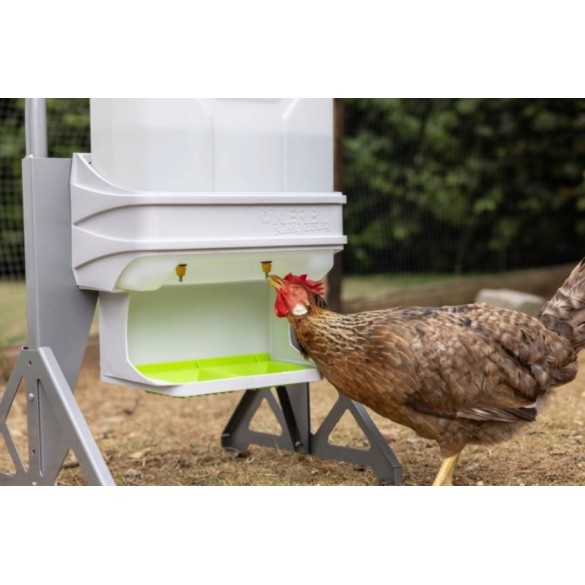 SmartCoop - Abbeveratoio per Pollame 10 L Kerbl