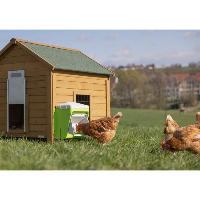 SmartCoop - Mangiatoia Automatica con...