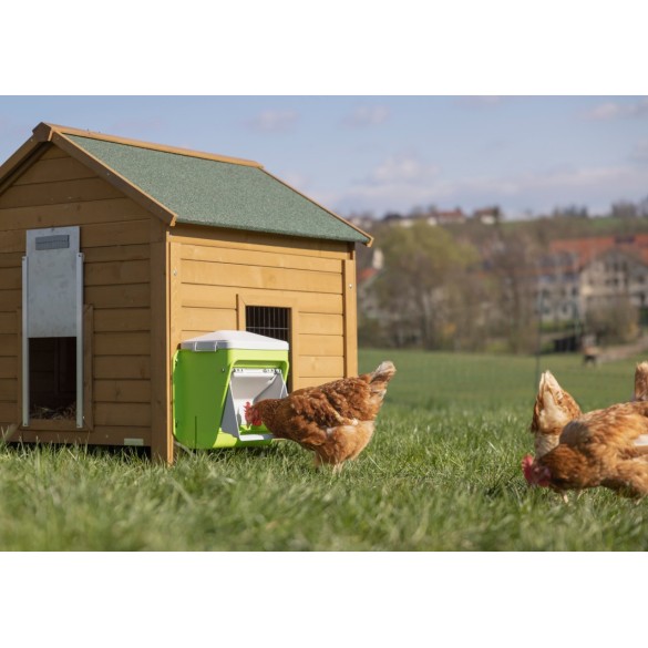 SmartCoop - Mangiatoia Automatica con Sportello di Protezione 7,5 kg Kerbl