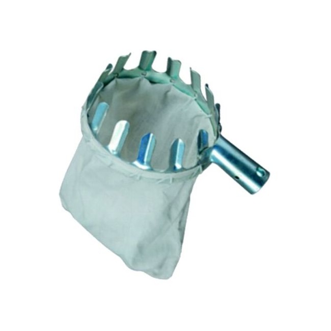 Raccogli Frutta Il Campo