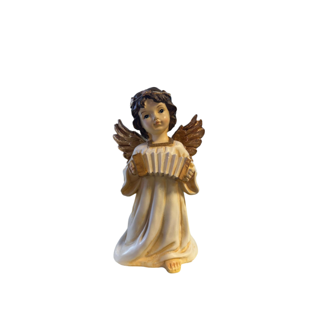 Angioletto 20cm con Luce a Batteria...