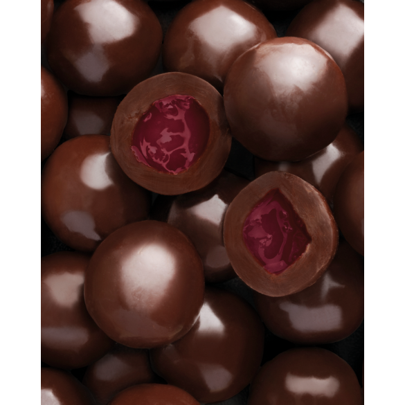 Latta con Praline al Cioccolato Pastiglie Leone 100 gr