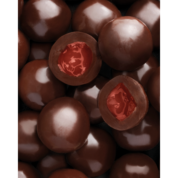 Latta con Praline al Cioccolato Pastiglie Leone 100 gr