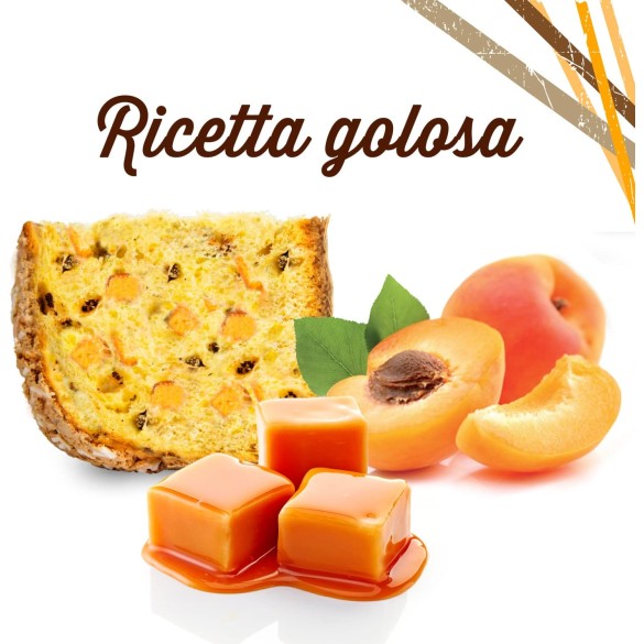 Panettone Regale Albicocca e Caramello 750gr Zaghis