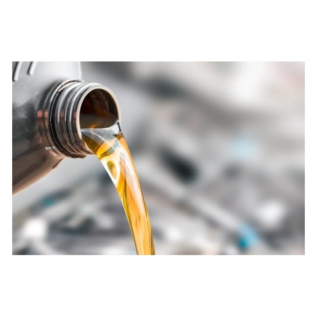 Olio Problade per motosega 1L Stocker