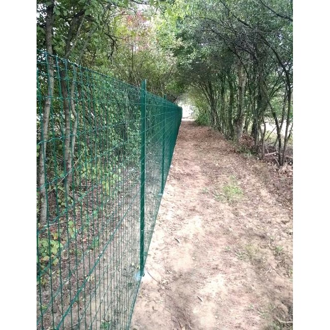 Rete Elettrosaldata Everplax Verde...