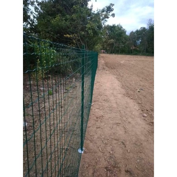 Rete Elettrosaldata Everplax Verde 25mt h180