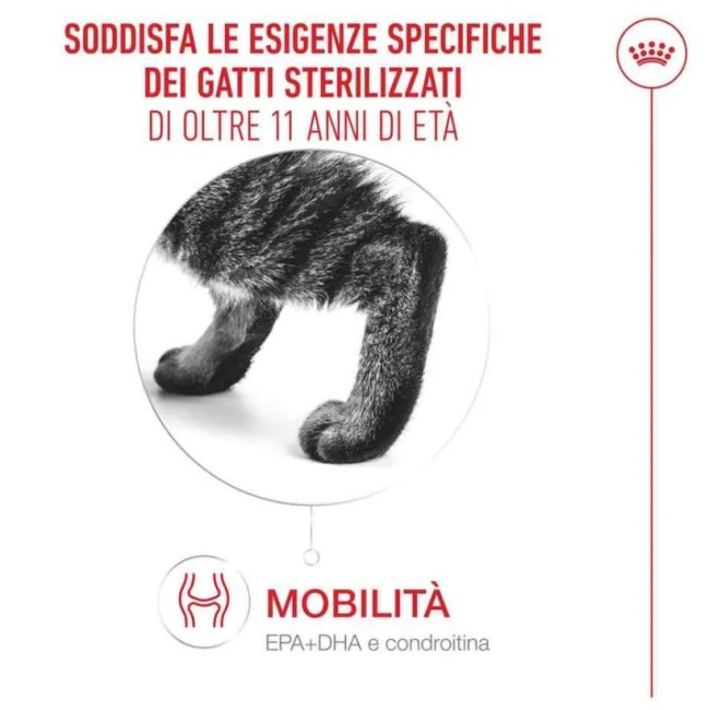 Crocchette Gatto Ageing 11+ Royal...