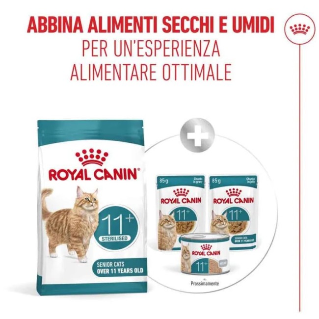 Crocchette Gatto Ageing 11+ Royal...