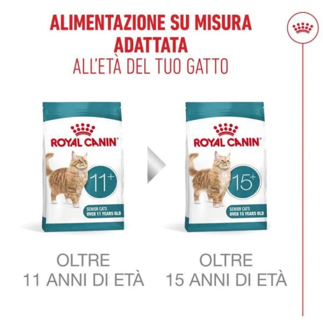 Crocchette Gatto Ageing 11+ Royal...