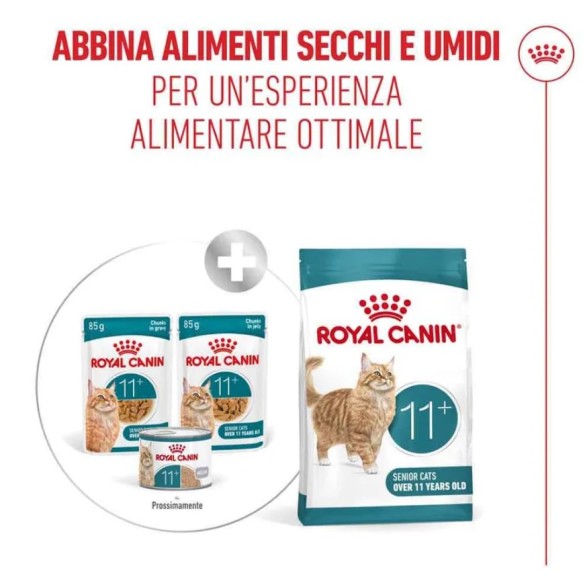 Umido Gatto Busta 85 gr Ageing 11+ Royal Canin