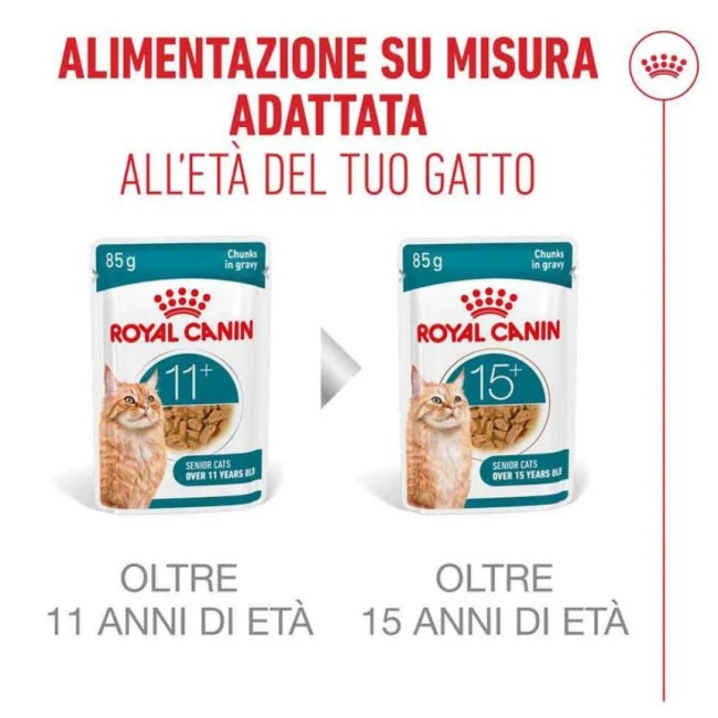 Umido Gatto Busta 85 gr Ageing 11+...