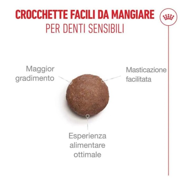 Crocchette Gatto Sterilised 11+ 400gr Royal Canin