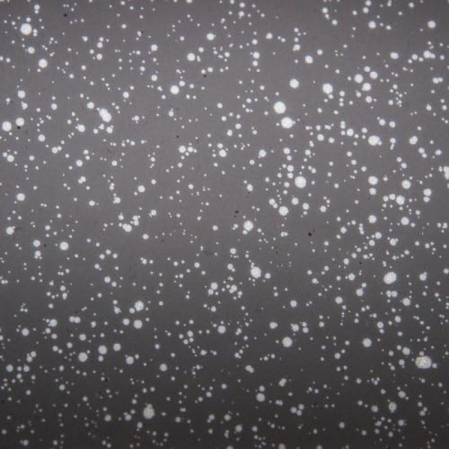 Saltapasta 28 cm Petra Vera Black...