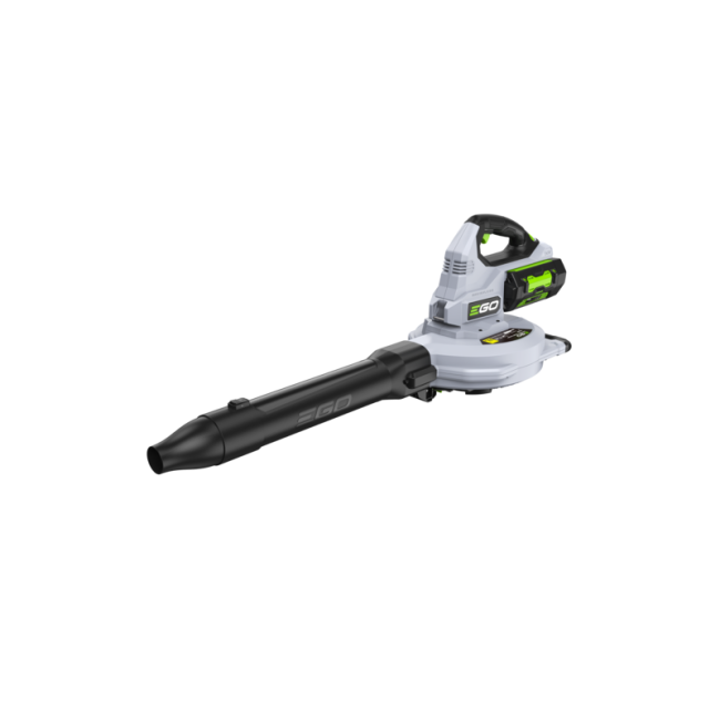 ASPIRATORE/SOFFIATORE 3 IN 1 EGO LV5000E