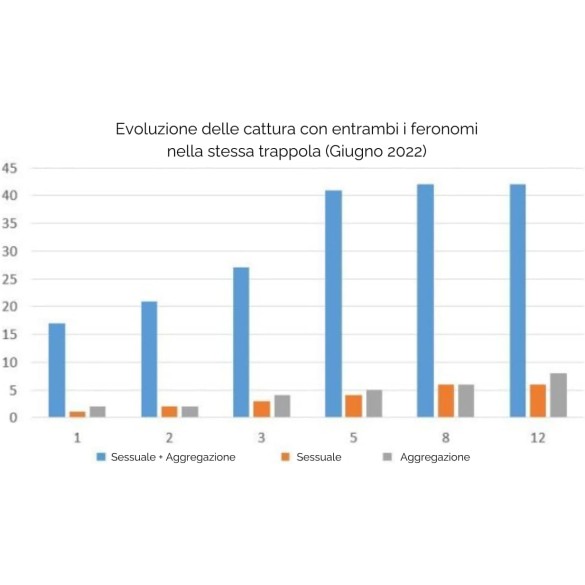 Feromone Sessuale + Feromone Di Aggregazione Diablex Cimici 150 mg Ueber