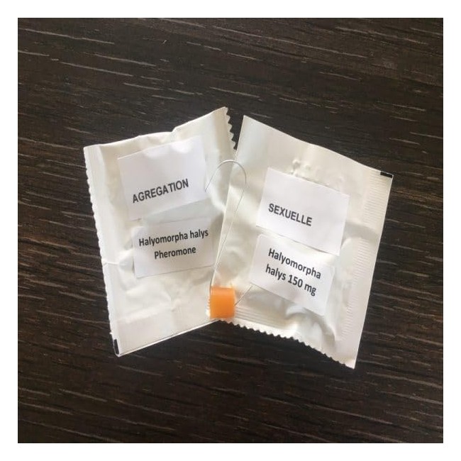 Feromone Sessuale + Feromone Di...