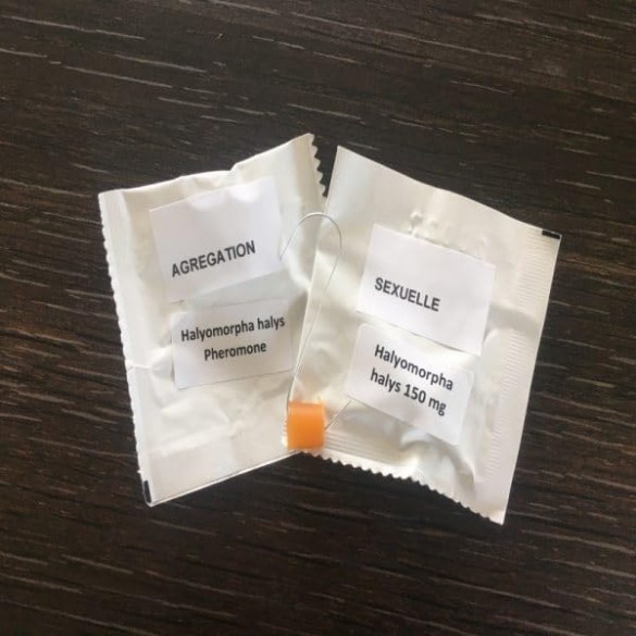 Feromone Sessuale + Feromone Di Aggregazione Diablex Cimici 150 mg Ueber