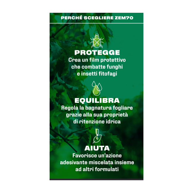 Zeolite A Chabasite Micronizzata...