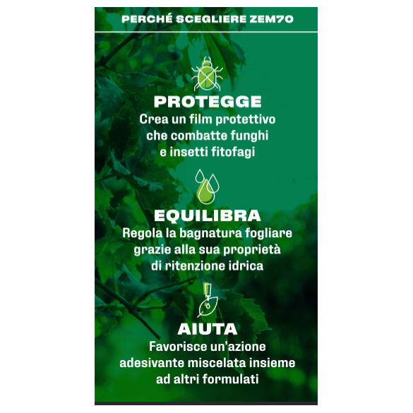 Zeolite A Chabasite Micronizzata ZEM70 10Kg BAL-CO GREENLINE