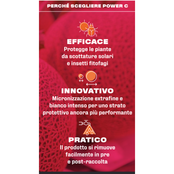 Caolino Micronizzato Extrafine POWER C 10Kg BAL-CO GREENLINE