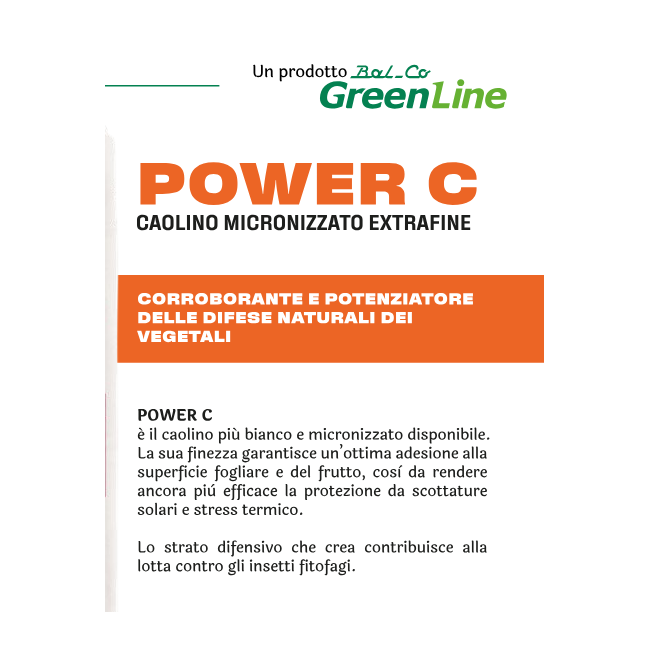 Caolino Micronizzato Extrafine POWER...
