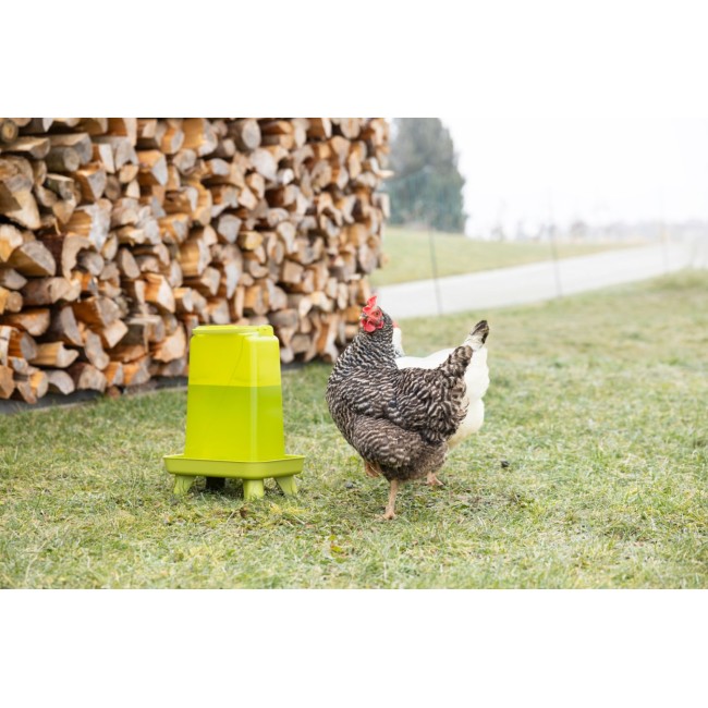 Abbeveratoio per Polli 5,5 lt Verde...