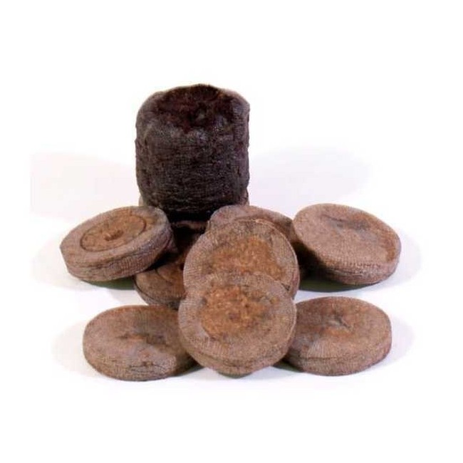 Pastiglia di Torba 1 PZ