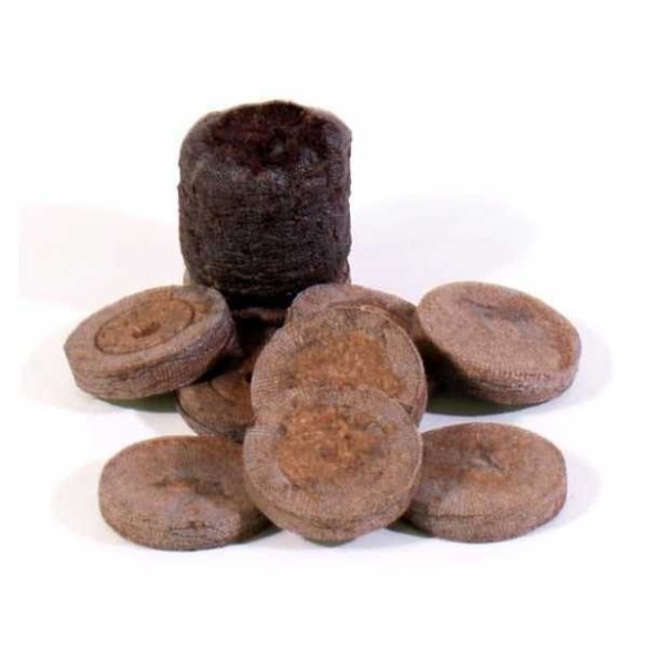 Pastiglia di Torba 1 PZ