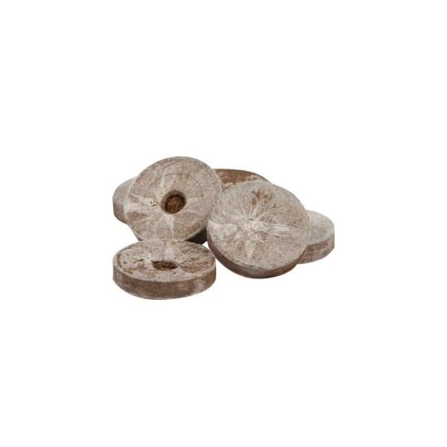 Pastiglia di Torba 1 PZ