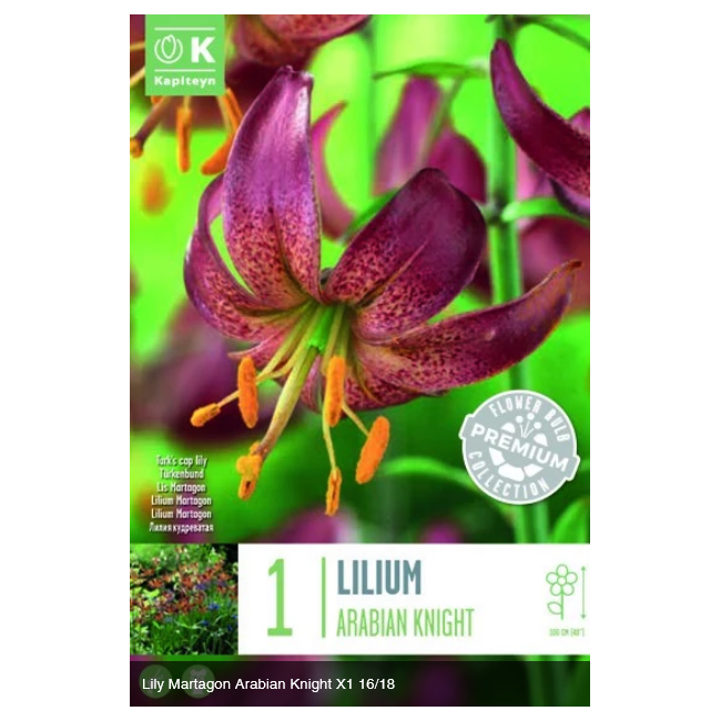 Bulbo di Lilium Arabian Knight...