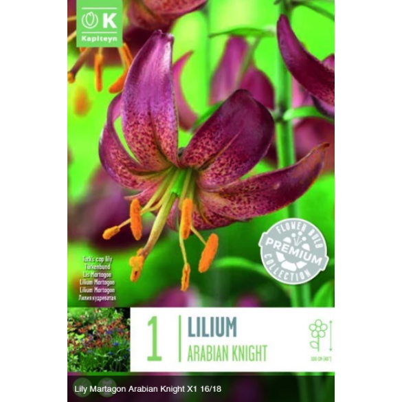 Bulbo di Lilium Arabian Knight confezione da 1 pz