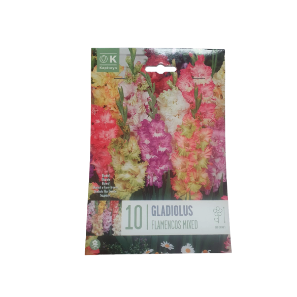 Bulbi di Gladiolo Flamencos Mixed 10 pz KAPITEYN