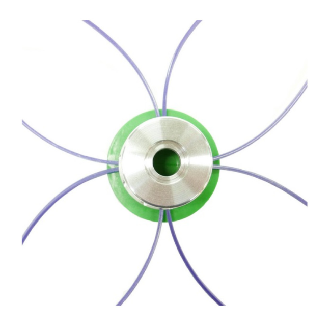 Testina Attilina Evo